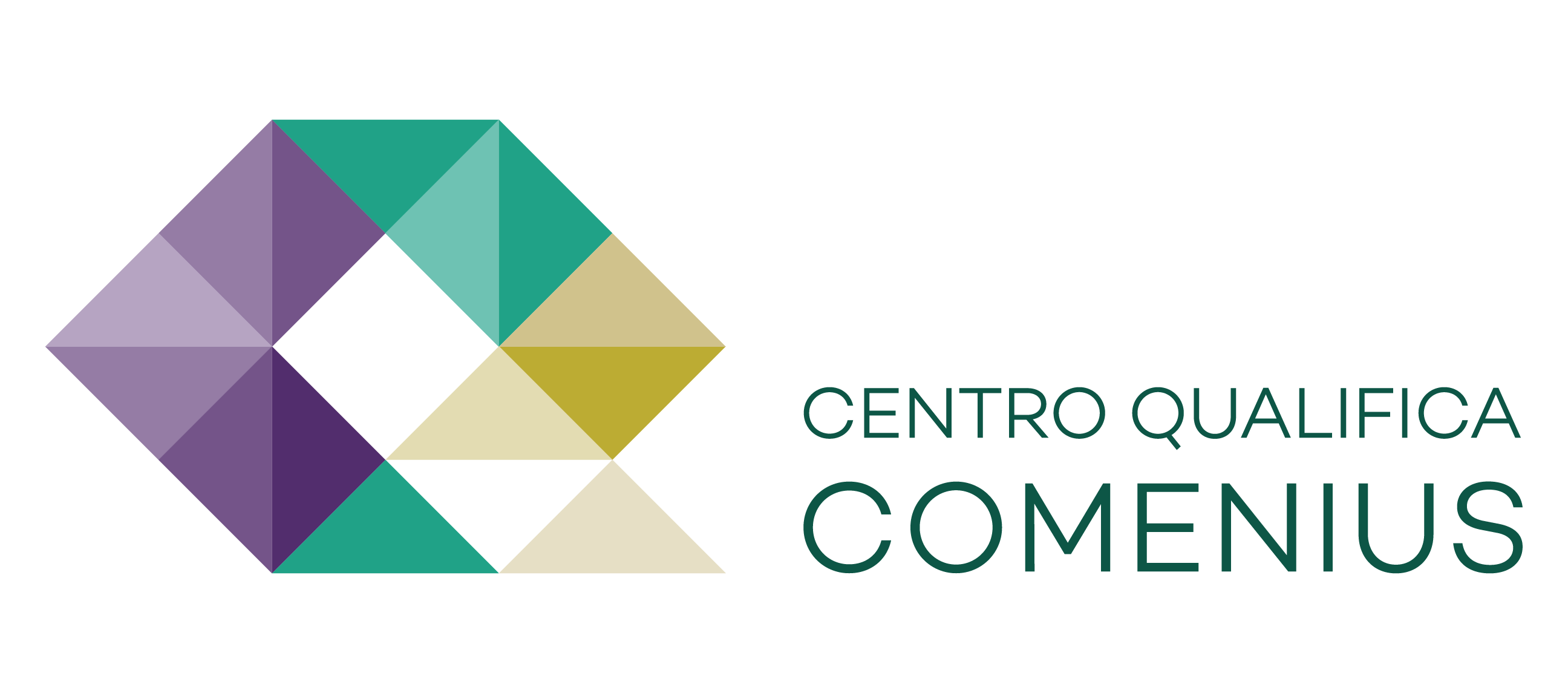 Centro Qualifica Comenius_RVCC Profissional_RVCC Escolar_Centro Qualifica